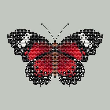 (image for) Lacewing